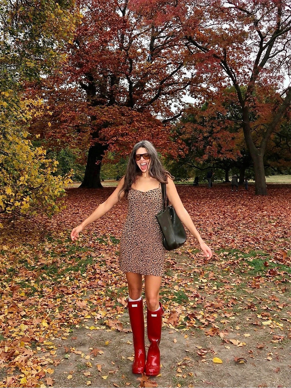 Leopard Print Mini Dress in Brown & Black Like New